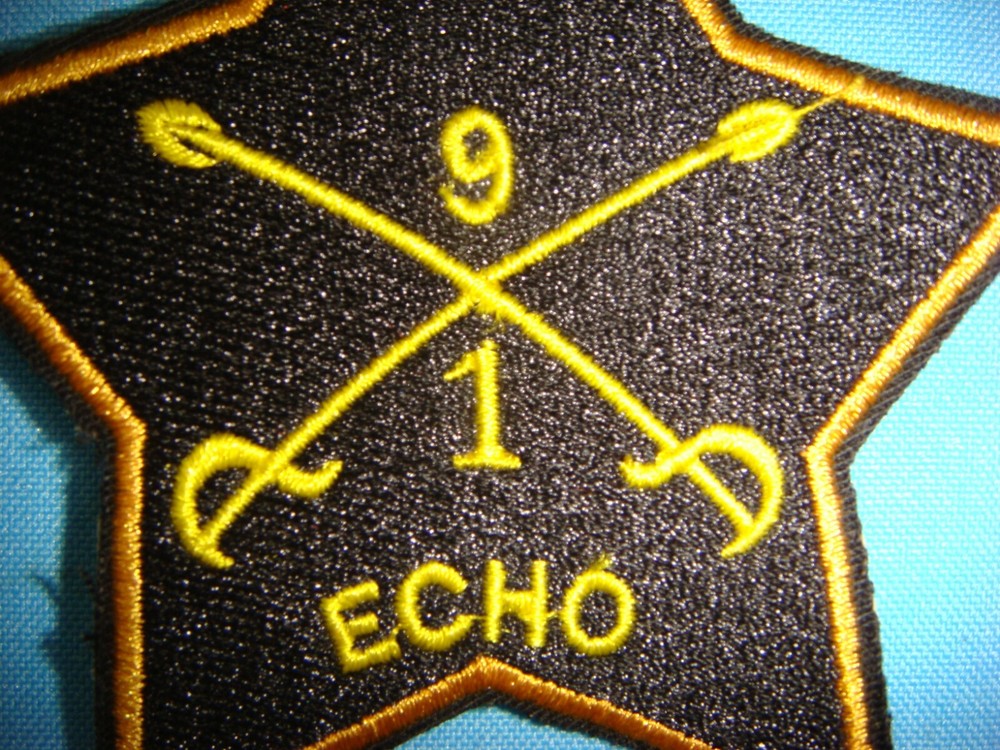 VIETNAM WAR PATCH, US 1st SQUADRON 9th CAVALRY REGIMENT " ECHO " TEAM