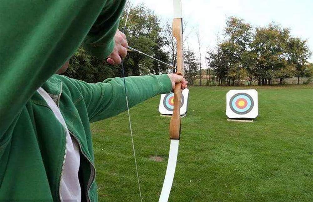 24 Pcs Steel 100 Grain Archery Arrow Field Points Tips - Practice...