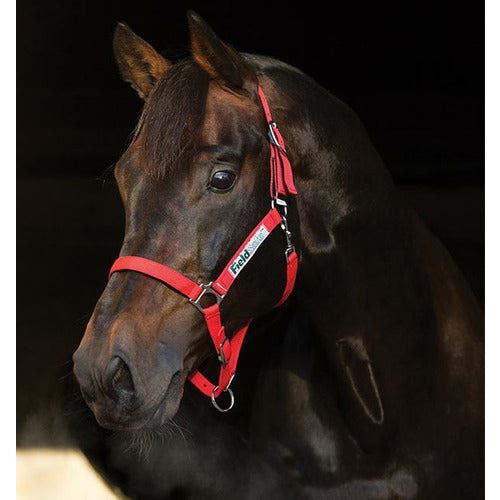 Horseware Field Safe Headcollar