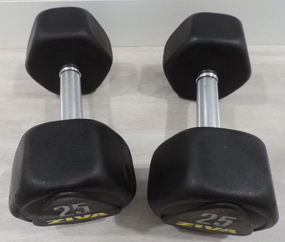 Ziva 25lb Dumbbells (x2)