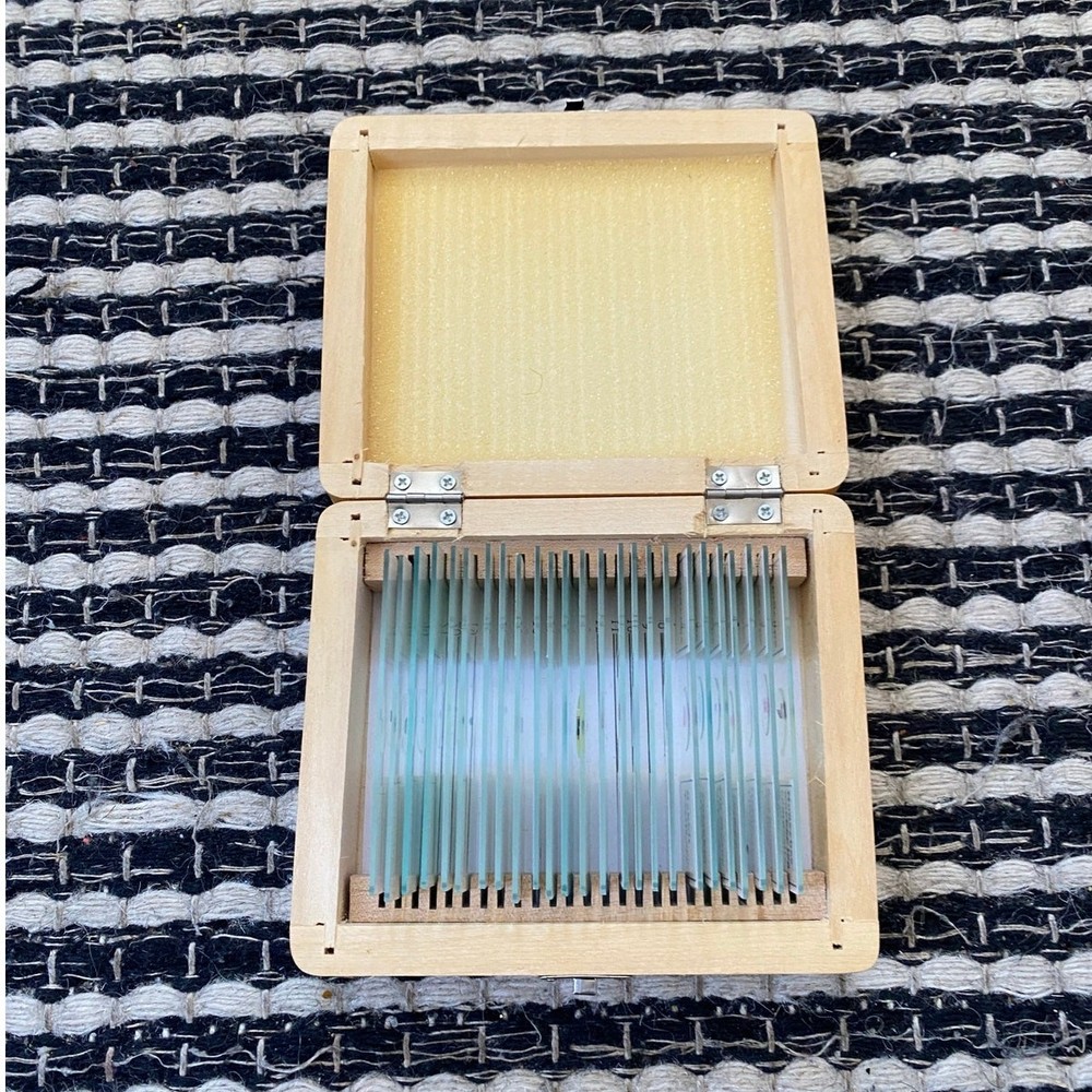 AmScope 25 Piece Set of Prepared Microscope Glass Slide Box