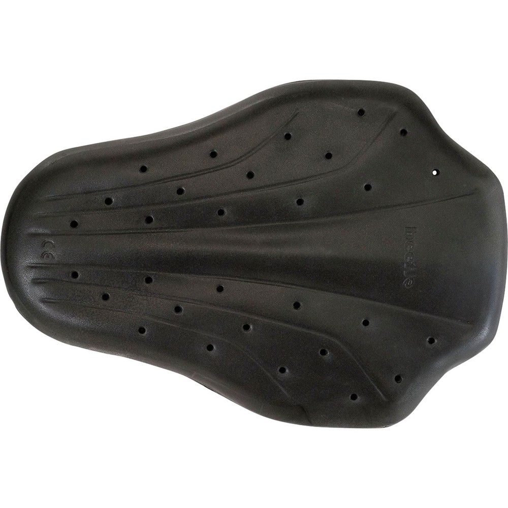 Z1R Back Guard - Black - Small 2702-0285