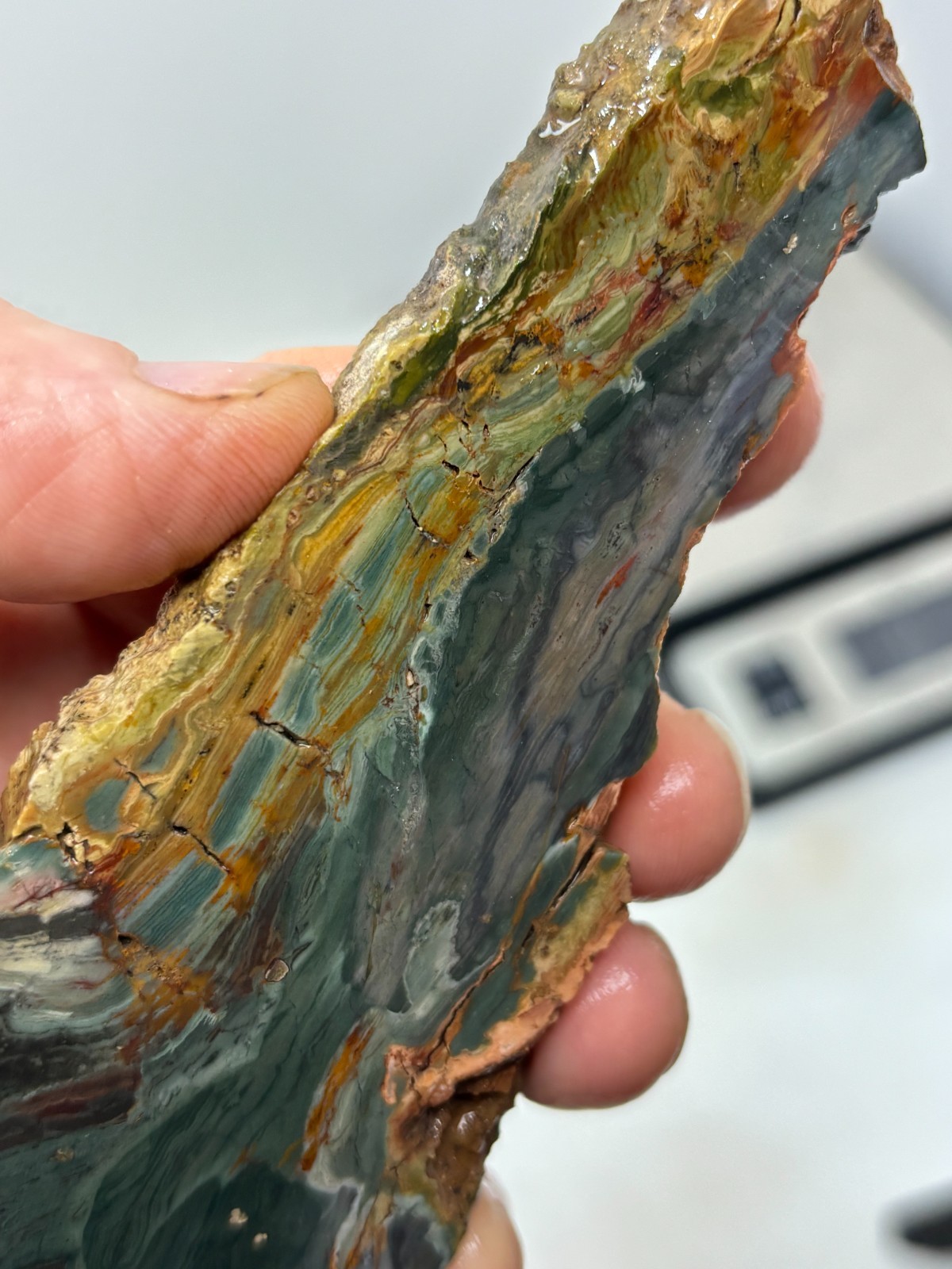Gary Green Caldera Freedom Jasper Slab Cabbing Lapidary Combo Ship Avail