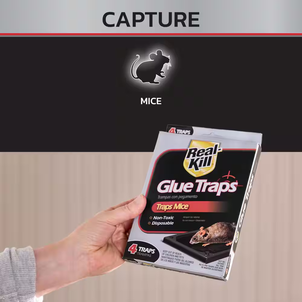 Mouse Glue Traps (4-Count) (2-Pack)