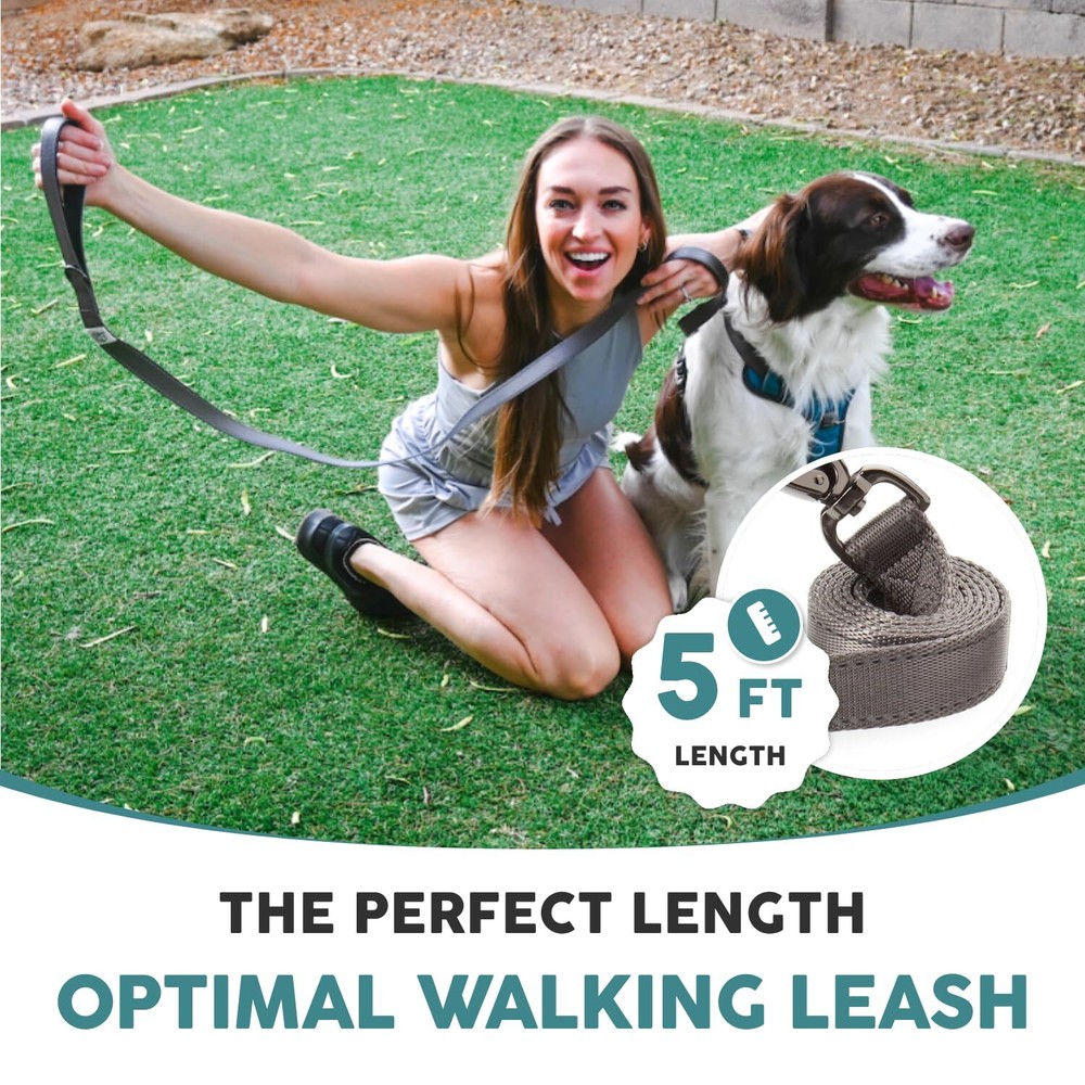 Neoprene Dog Leash - Explorer