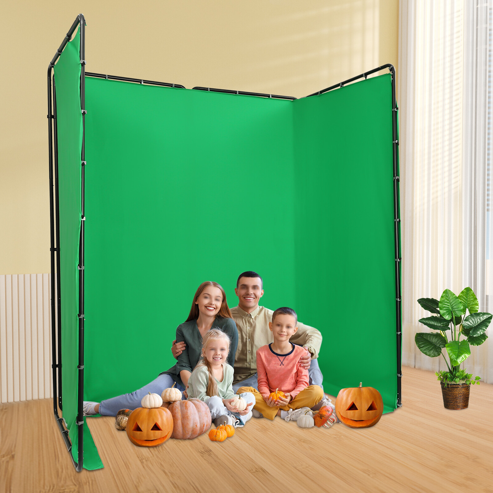 Screen Backdrop with Stand Portable Collapsible Photography Background for Photo