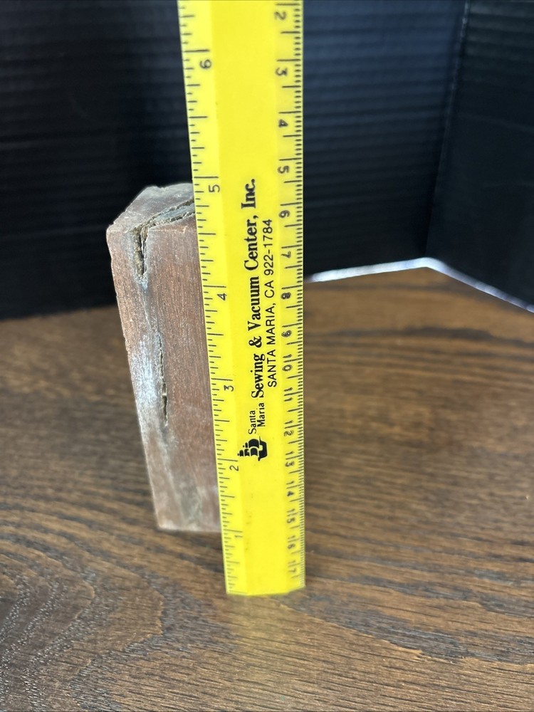 Petrified Wood