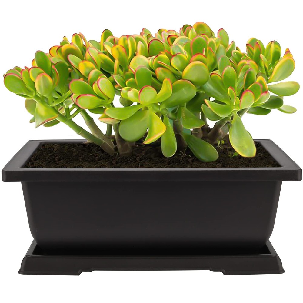4 Pack Large Plastic Bonsai Pots 11.5 Inch Rectangular Built in Mesh Bonsai T...