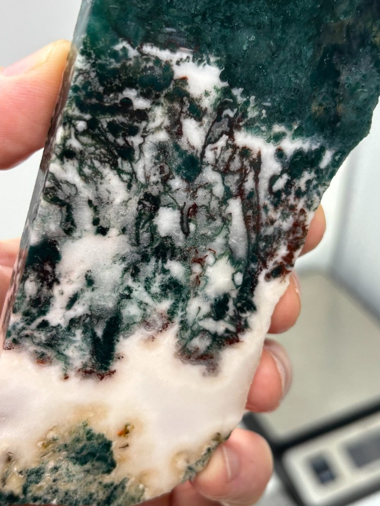 Semi-translucent Moss Agate Slab Cabbing Lapidary Carving Combo Ship Avail