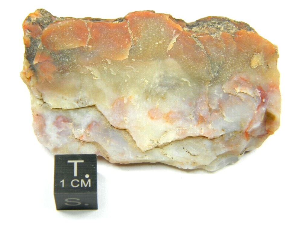 Agatized Dinosaur Coprolite Utah 67.01 grams