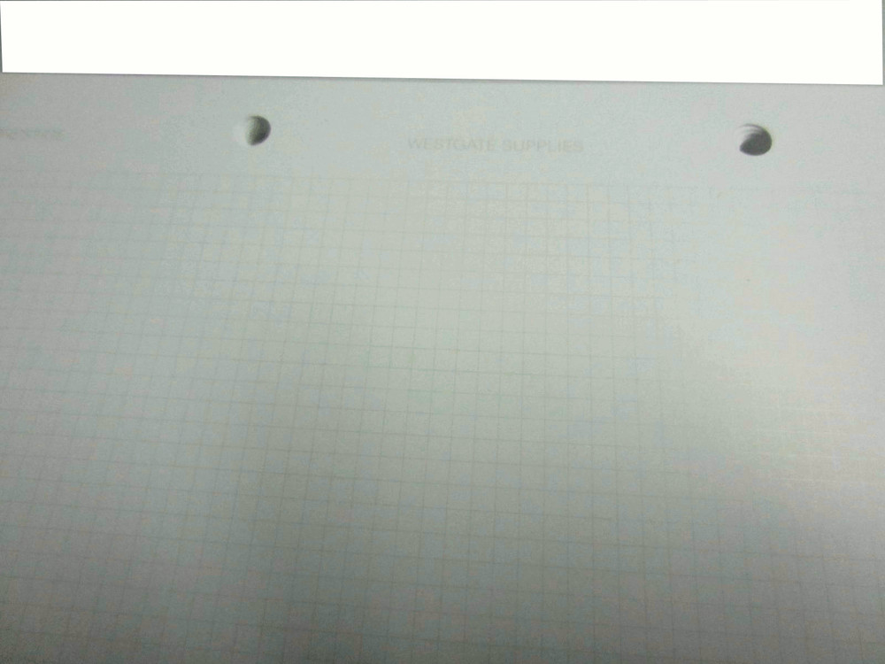 ACID FREE PAPER QUADRILLED / SQUARED PAGES FOR MOUNTING STAMPS - 4 HOLE PUNCHED