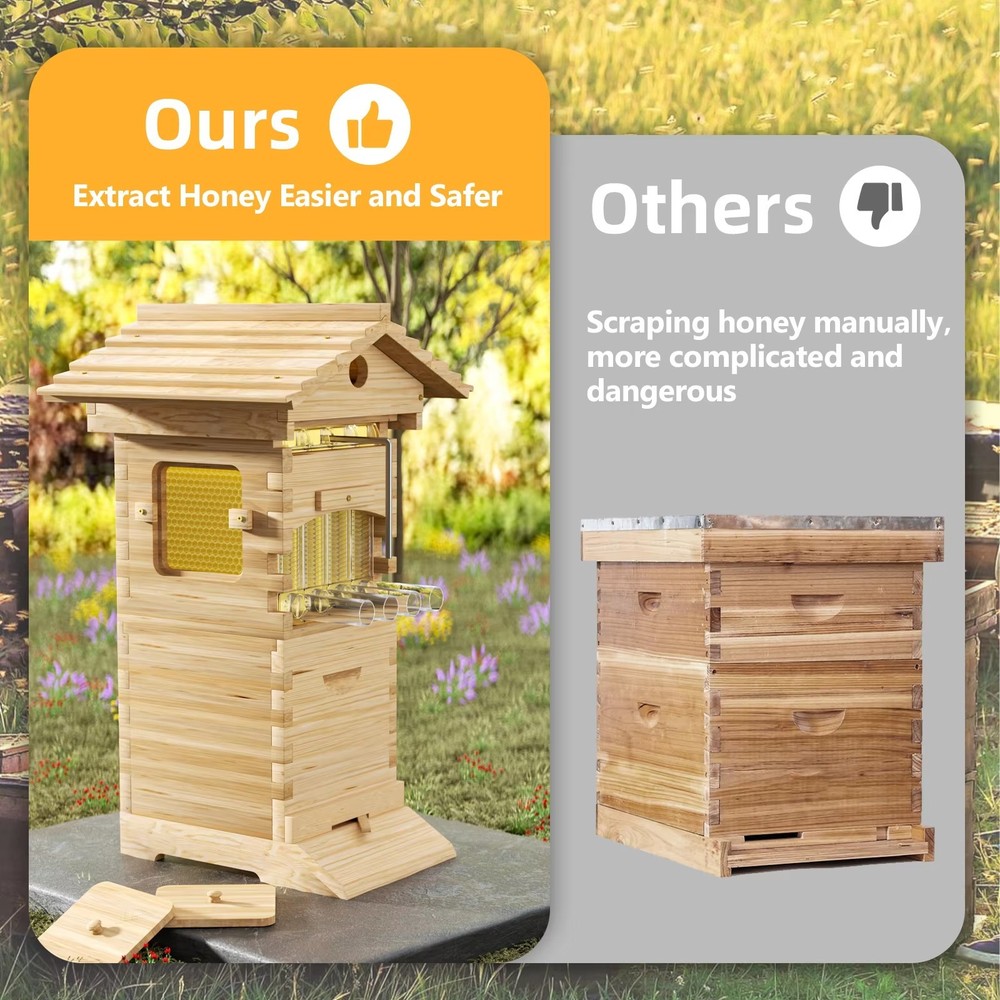 Bee Hives Boxes Starter kit with 4 Flow Bee Hive Frames