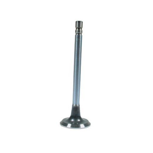 BR86003V-1 Exhaust Valve