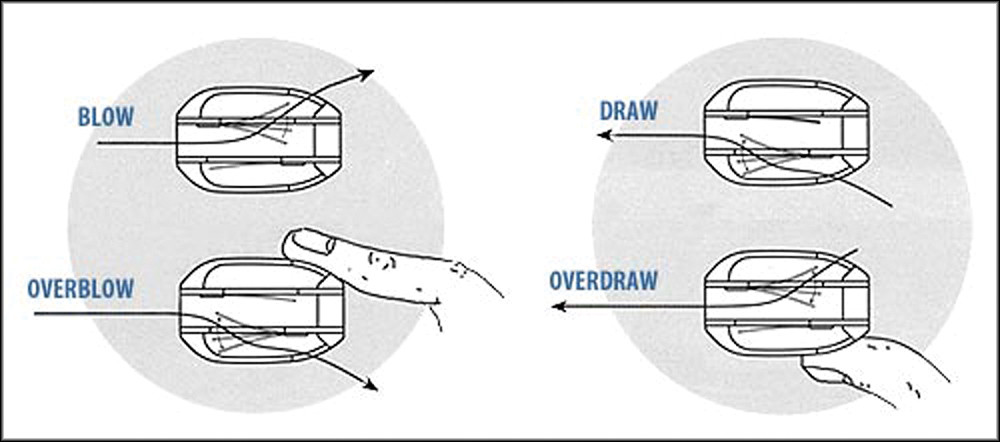Suzuki OVERDRIVE HARMONICA C