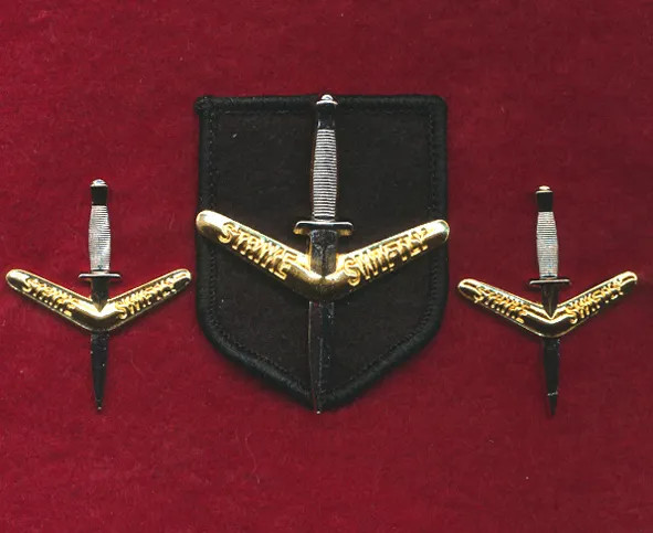 1 CDO REGT Hat and Collars (Briteshine) Militaria