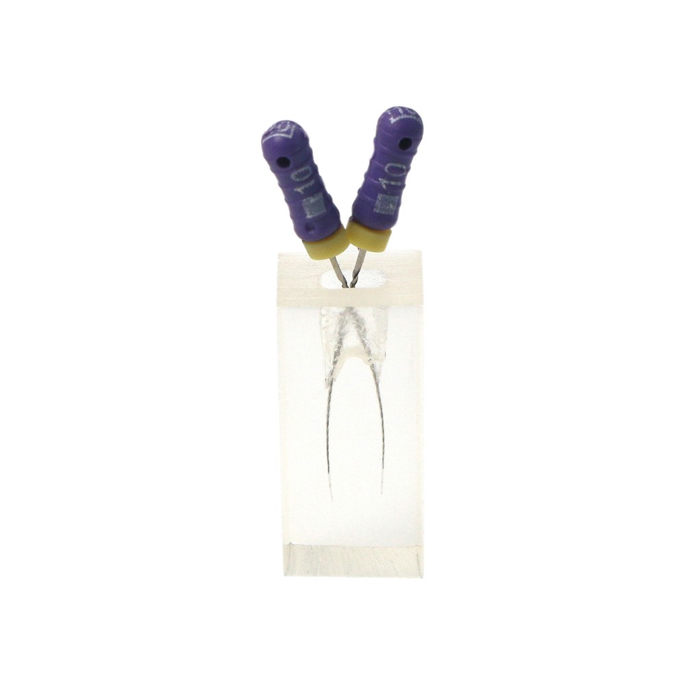 10Pcs Dental Endodontic Study Practice Operation Tooth Model Clear Root Canals