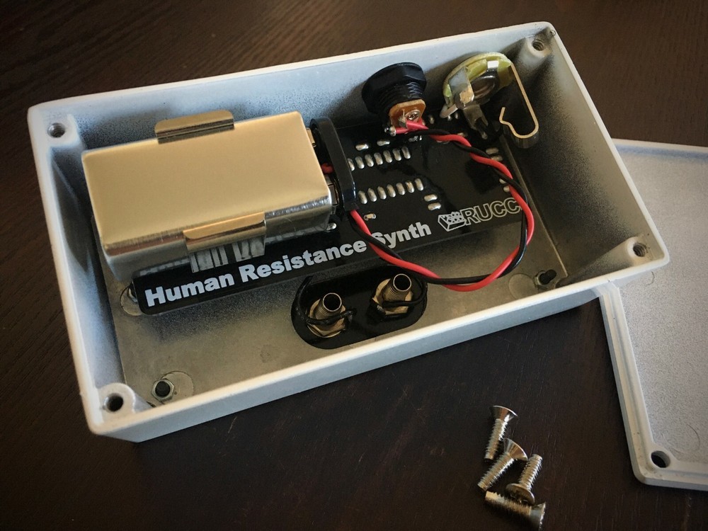 Human Resistance Synthesizer (Rucci, Handmade)