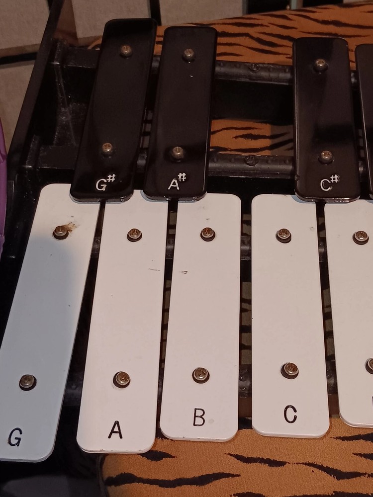 Vintage Cosmic Percussion LP Xylophone