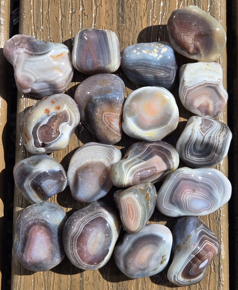 Botswana Agate Selects - SUPERNOVA - Rough, Natural, Not Polished A+ Grade