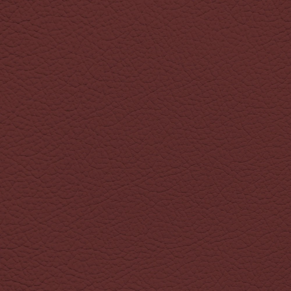 BMW Tacora Red Leather Dye