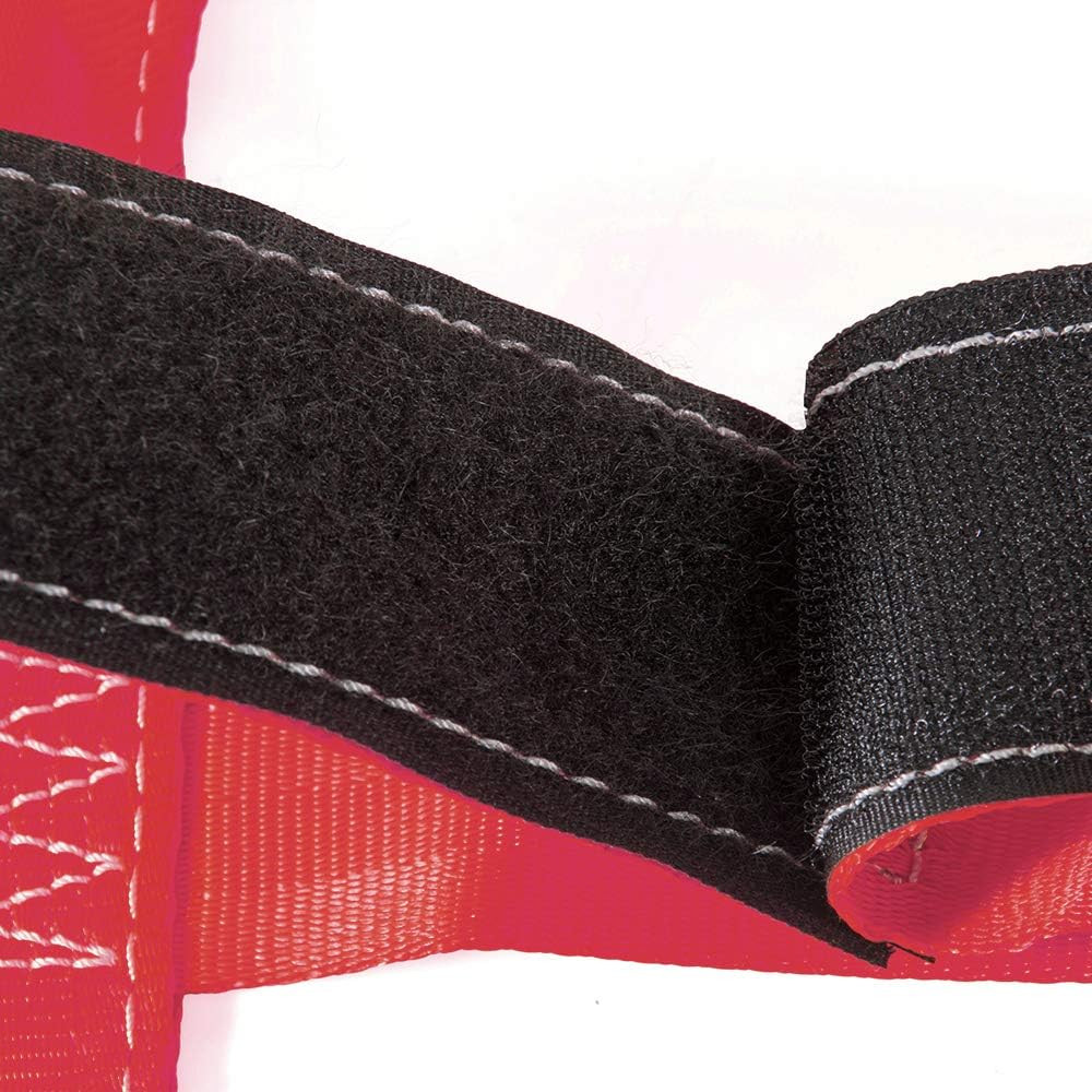 Universal Motorcycle Rear Wheel Tie down Strap in Red