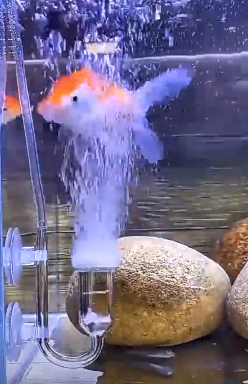 Fish Aquarium Nano Air Bubble Stone Diffuser Atomizer Tube Increase Oxygen