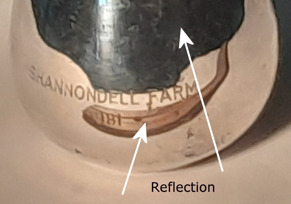 Shannondell Farms 1981 Oneida Silver Plate Cup.