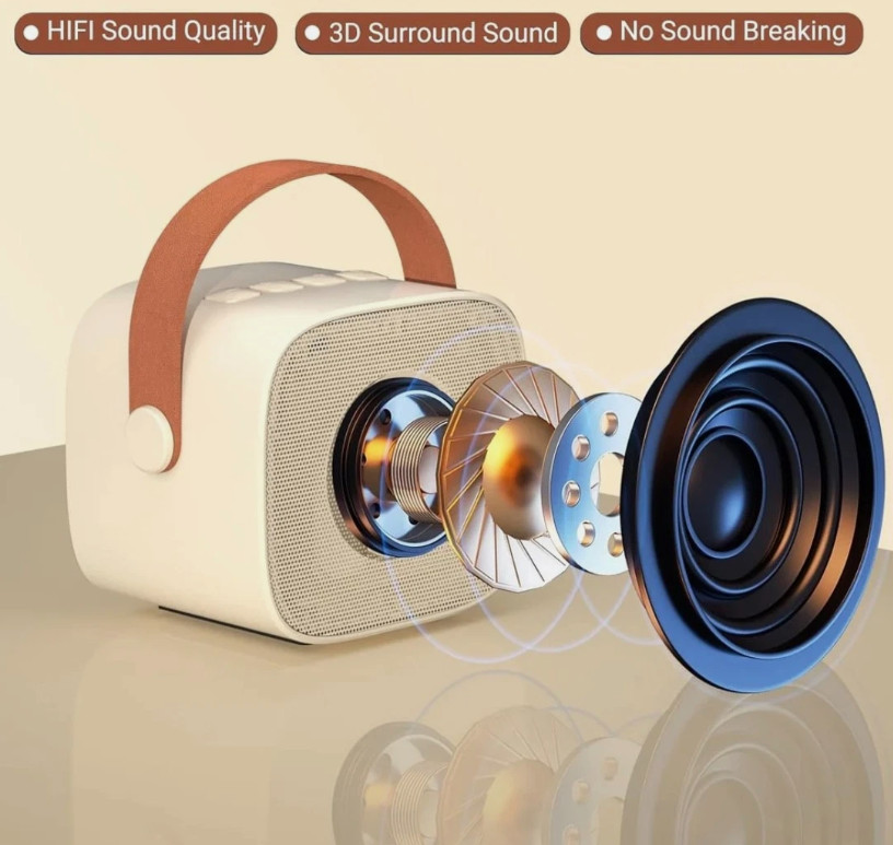 Mini Karaoke Machine with 2 Wireless Microphones & Portable Bluetooth Speaker