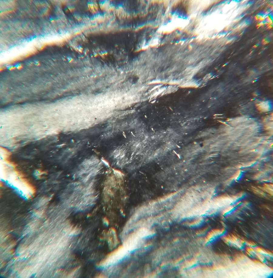 Phlogopite from Diable lake Washington Petrographic Microscope Slide (Plog 2-B)