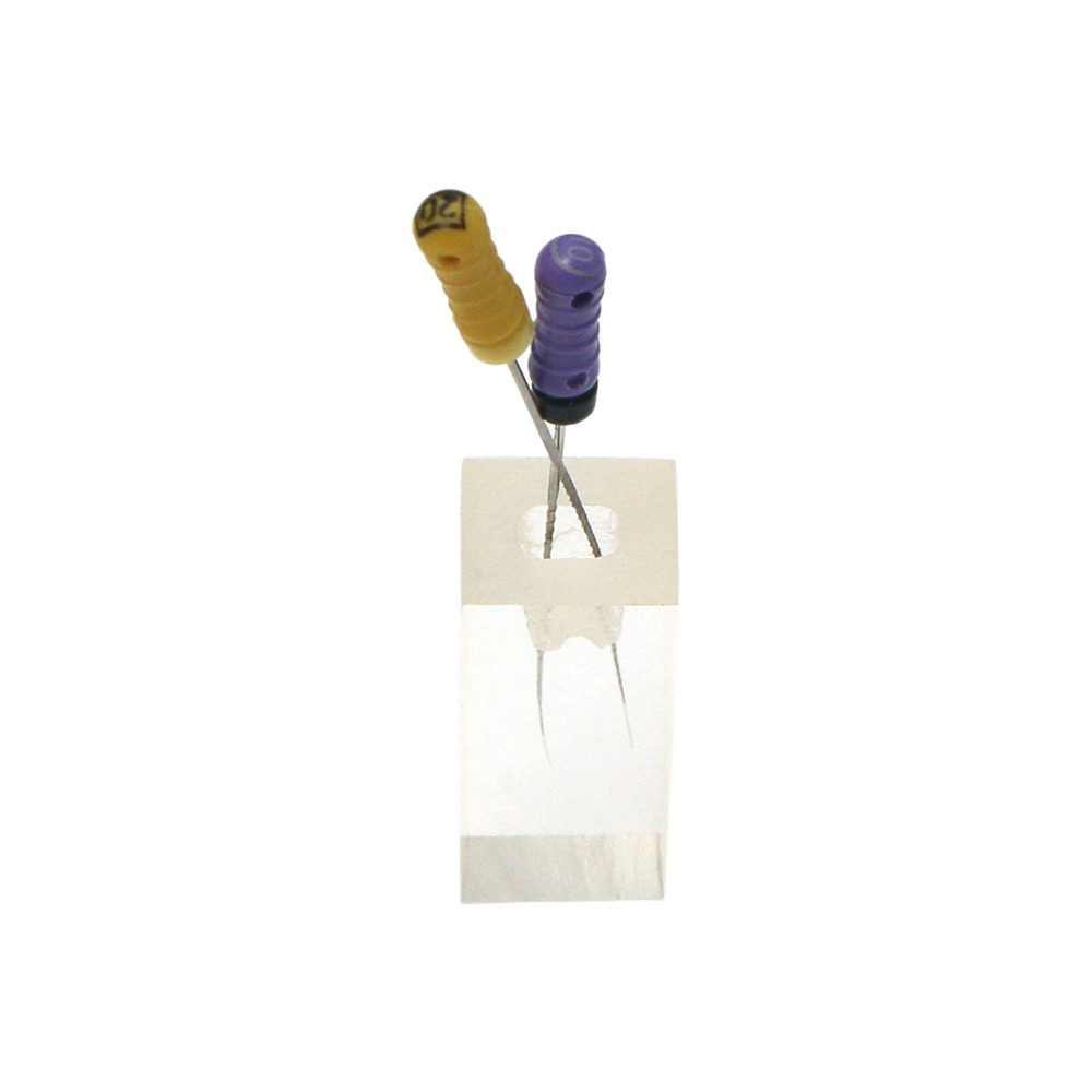 10PCS Dental Endodontic Root Canals Practice Model Endo Training Block Clear