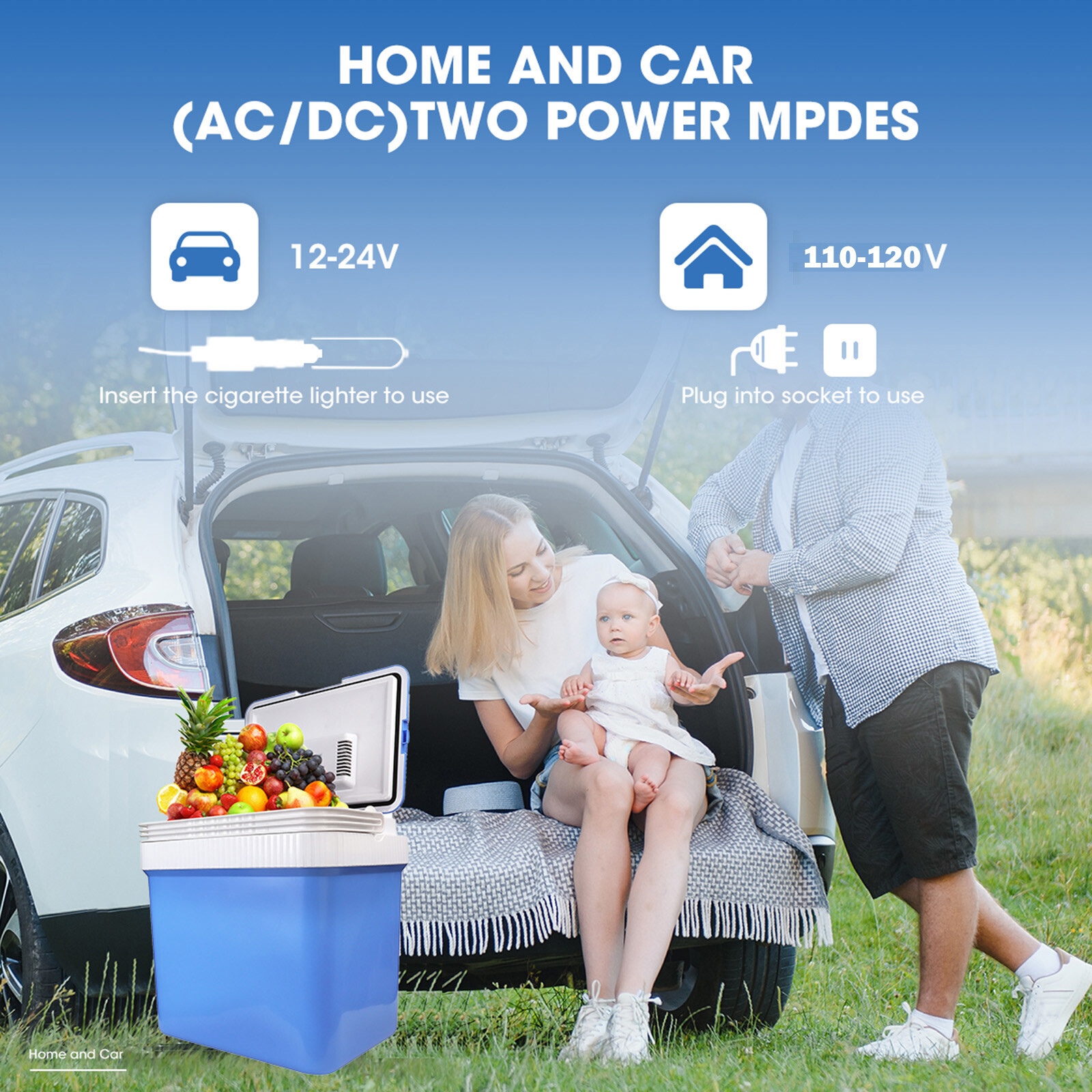 24L Electric Cooler Warmer Portable Car Fridge Refrigerator Camping Mini Freezer