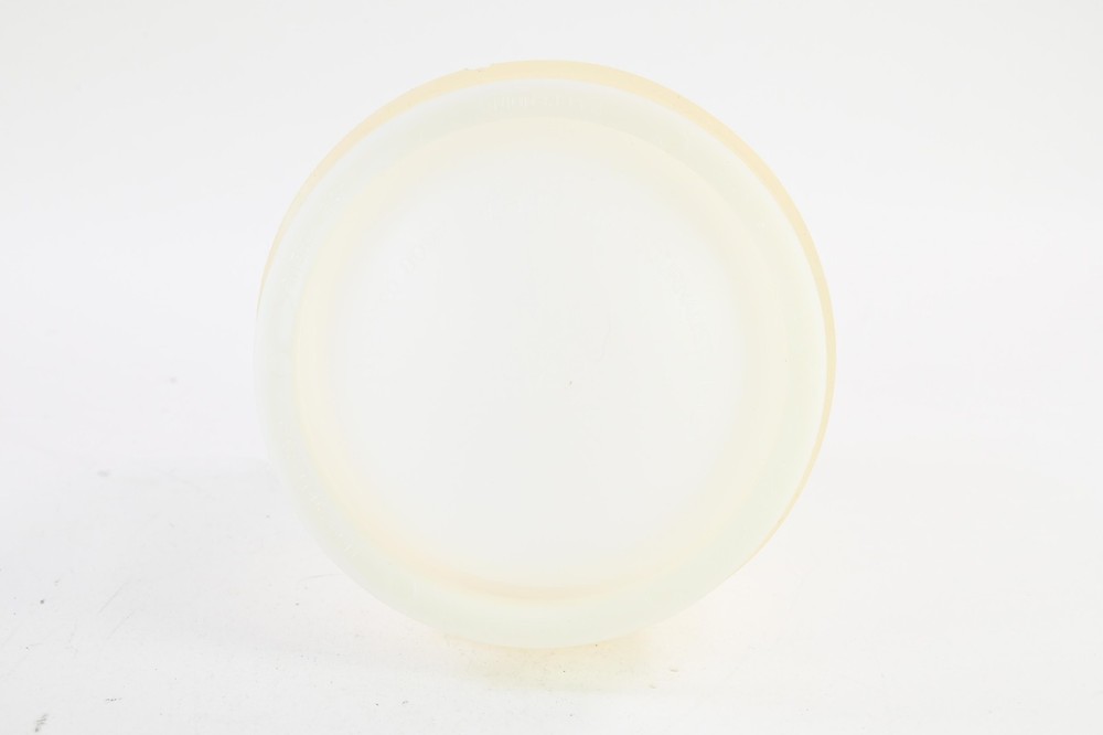 Gary Fong LSC-01 Lightsphere Collapsible Diffuser Dome Adapter Ring #G758