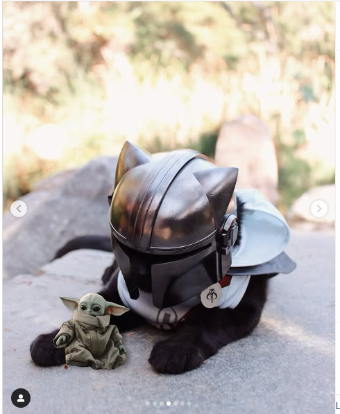 3D-Printed Mandalorian Helmet for Cats