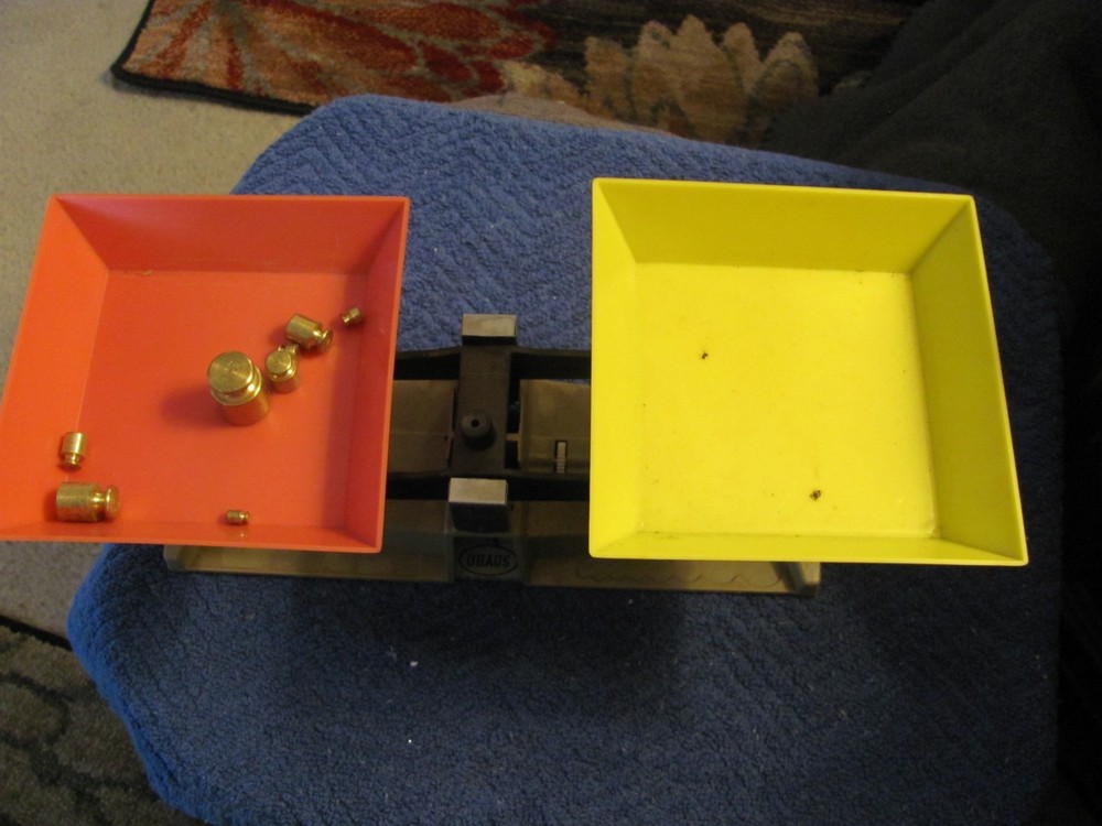 O'haus Scale