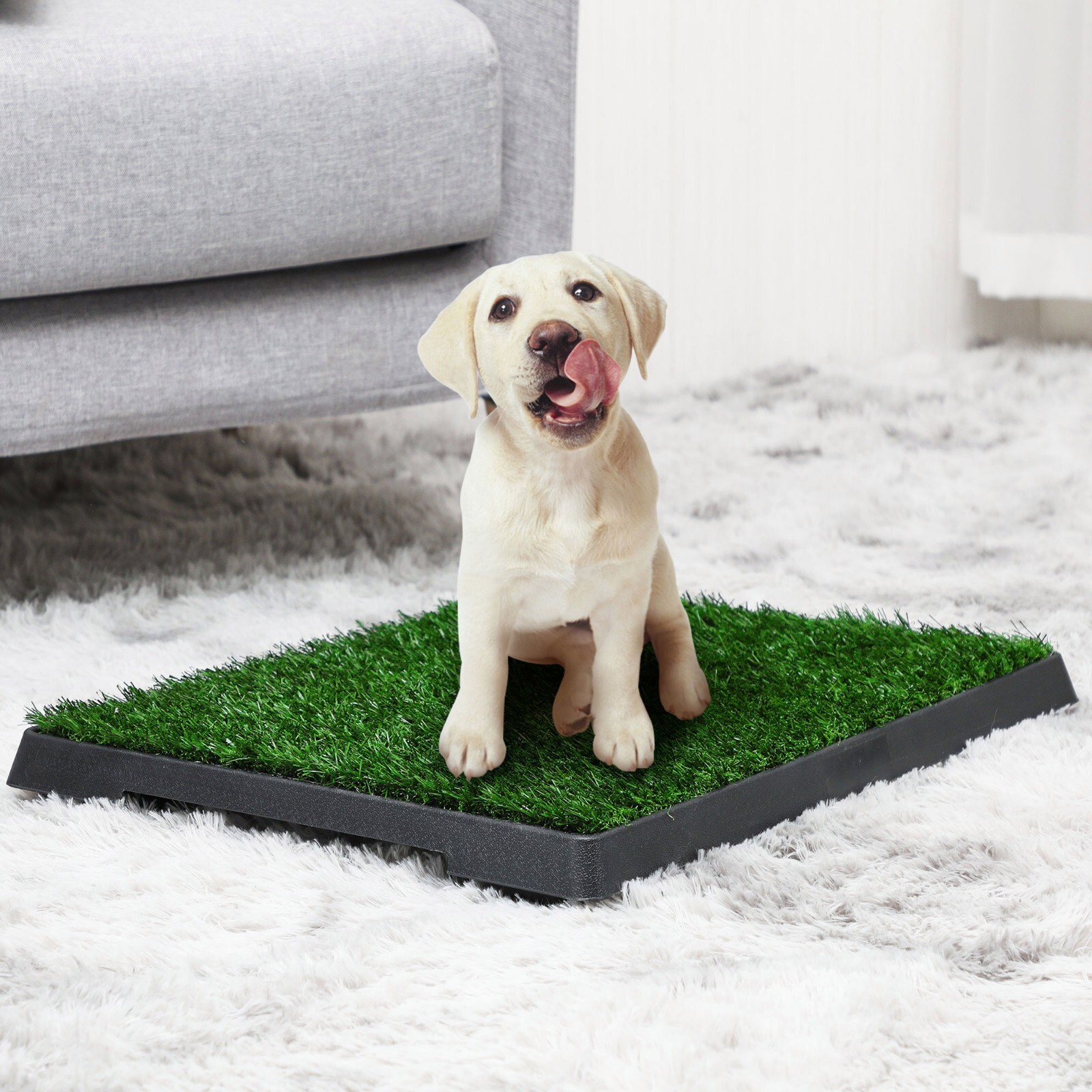 Puppy Dog Pet Potty Training Pee Pad Mat Tray Grass House Toilet W/tray Indoor