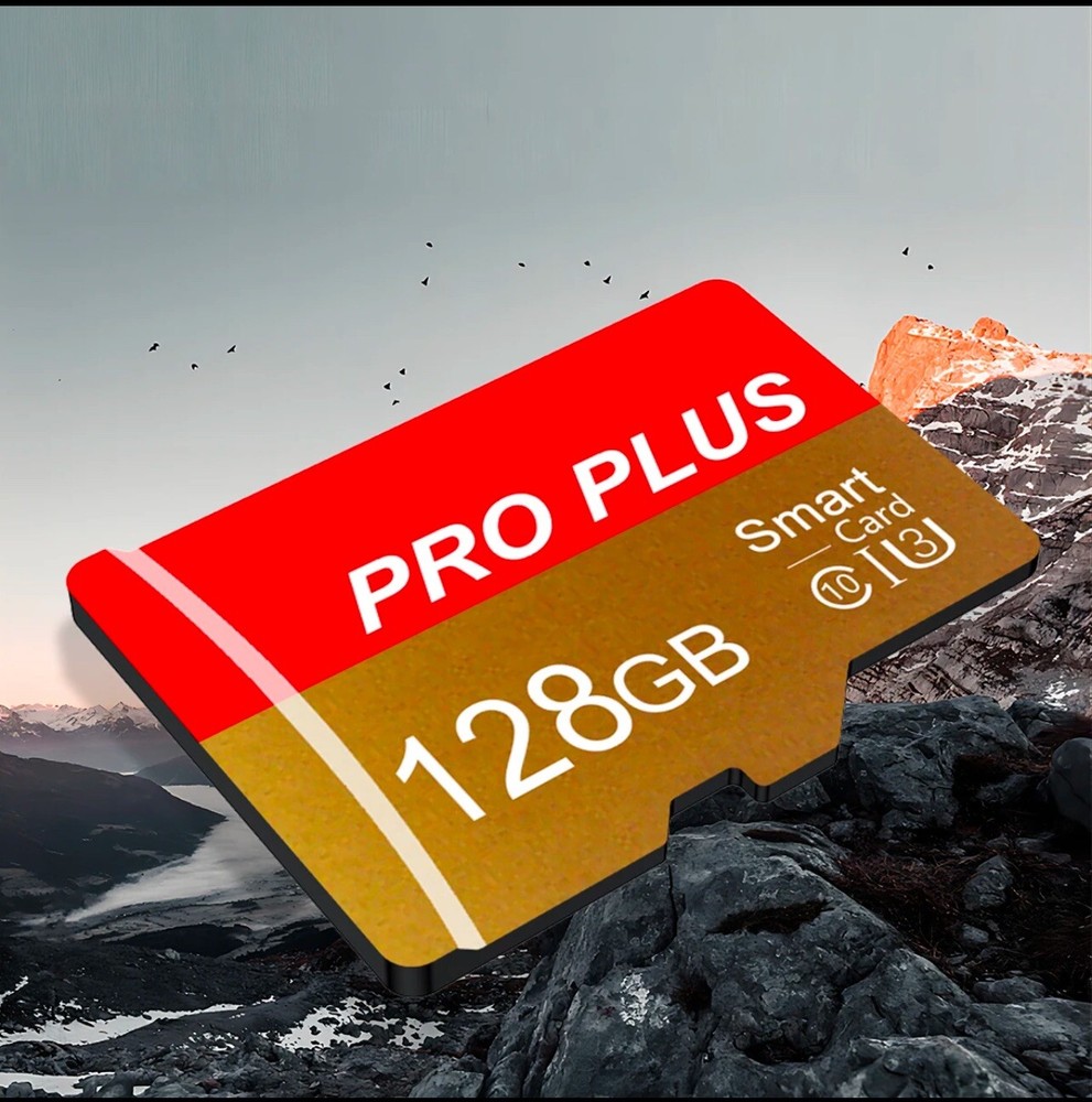 128 GB SD CARD with SD Adapter