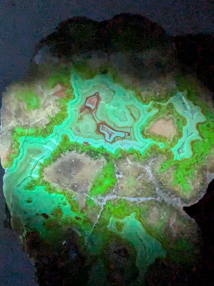 UV - Pseudomorph * Fortification * 6.7 oz.