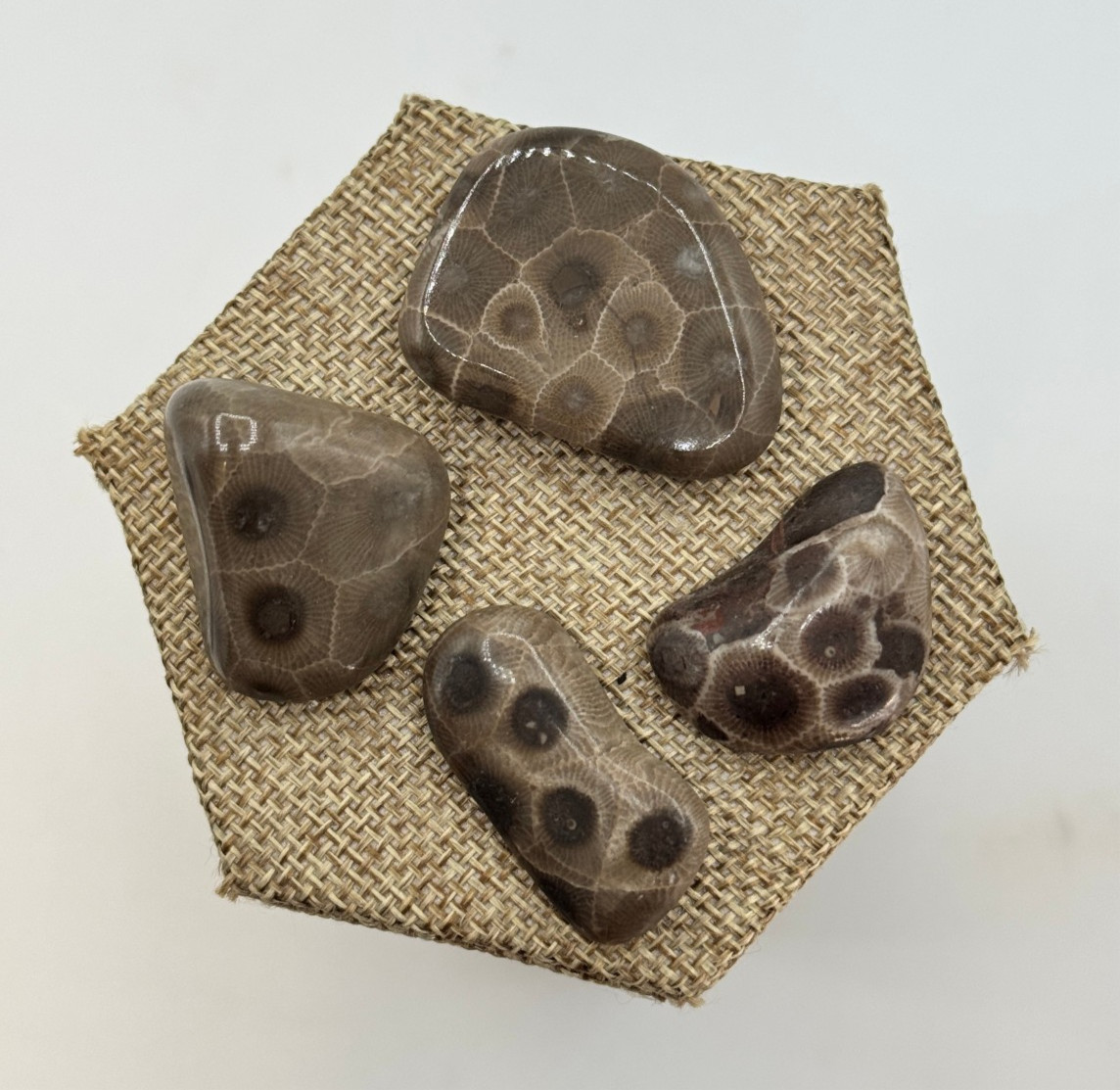 **GREAT PRICE**A SET OF 4 PETOSKEY STONES - BELOW RETAIL!  - PLUS FREE SHIPPING!