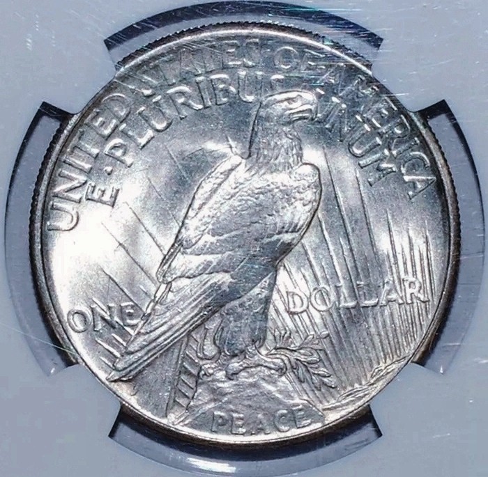 Lot of 5 1921-1935 US $1 Silver Peace D ollars, Mixed Dates & Mint Marks