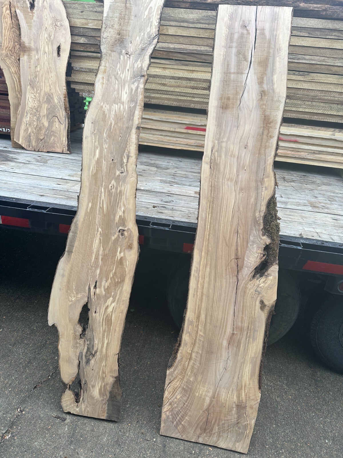 Italian Olive Wood Olivewood Kiln Dried, THE charcuterie board wood!