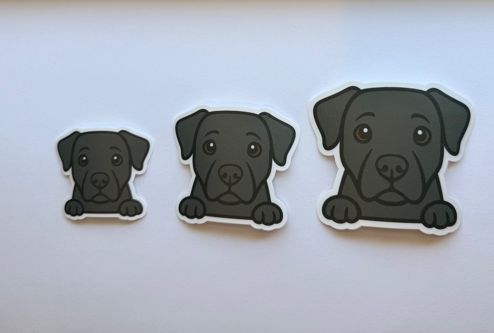 Black Labrador Peeking Sticker