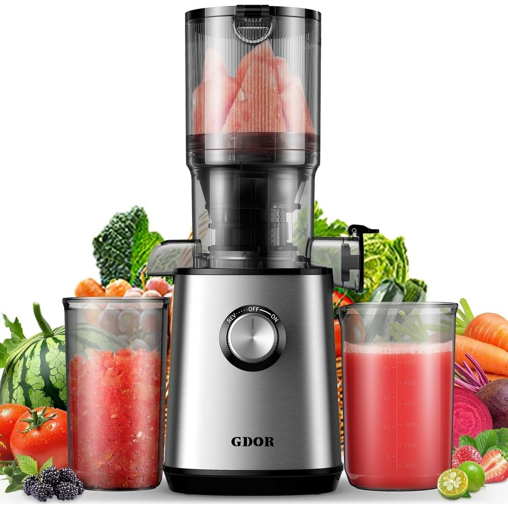 Cold Press Juicer Machines 4.25'' Feed Chute Masticating Fruits /Vegetables