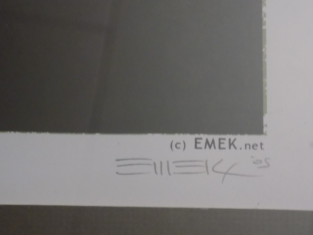 THE PIXIES SASQUATCH FESTIVAL 2005 THE GORGE WA EMEK 36 x 13 SIGNED 175/200!