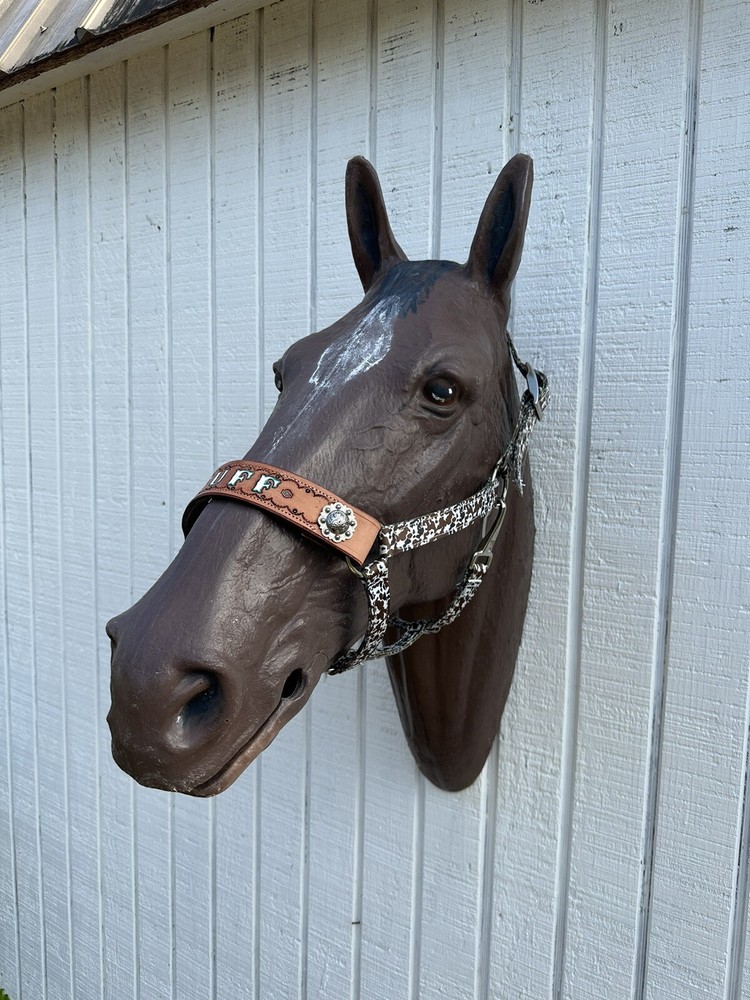 Personalized Nylon Horse Halter