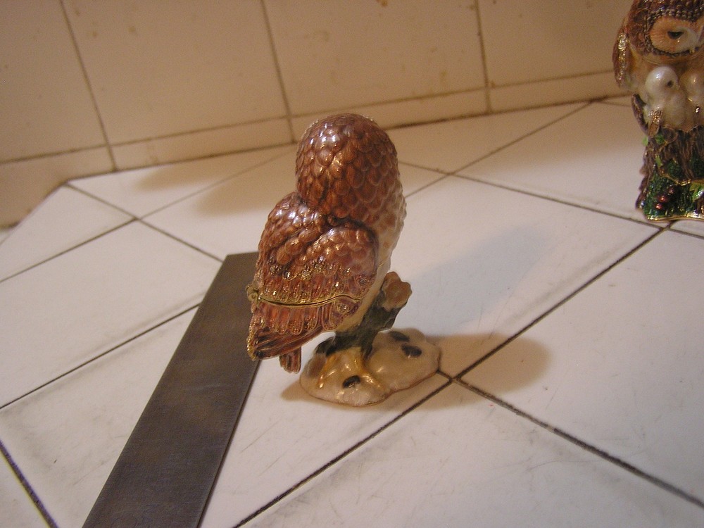 Rucinni Owl Trinket
