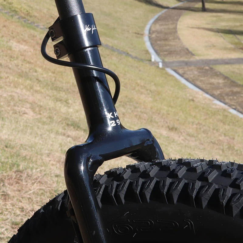 Kris Holm - KH29