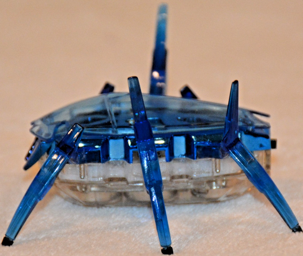 Hexbug Robotic Toys Micro Ant Spider Beetle Insect Creatures Remote Tech Scarab2