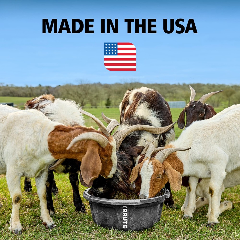6 Gal Animal Feeder W/ Rustproof Frame & Stackable Design for Livestock