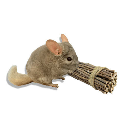 Willow Bundle - Natural Safe Willow Branch Activity Chew Toy Cage Accessory