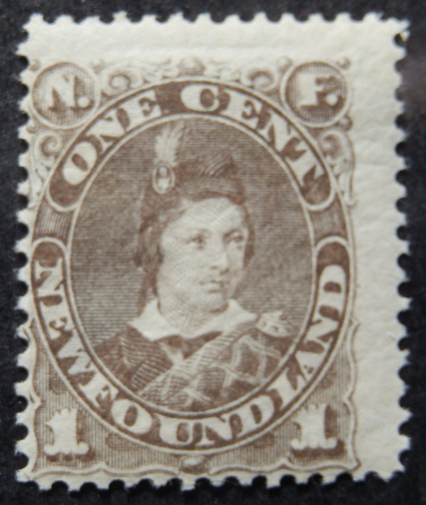 Newfoundland Scott # 43, Mint Original Gum (HR)